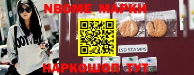 амф Новозыбков