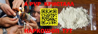 амф Новозыбков