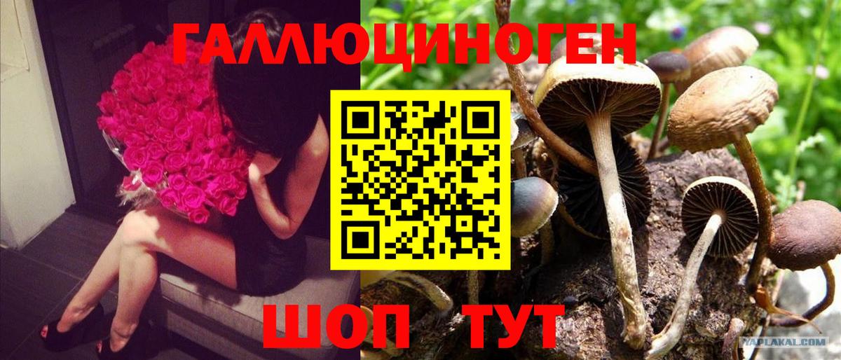 Сыктывкар  Галлюциногенные грибы Magic Shrooms  Вход с VPN 