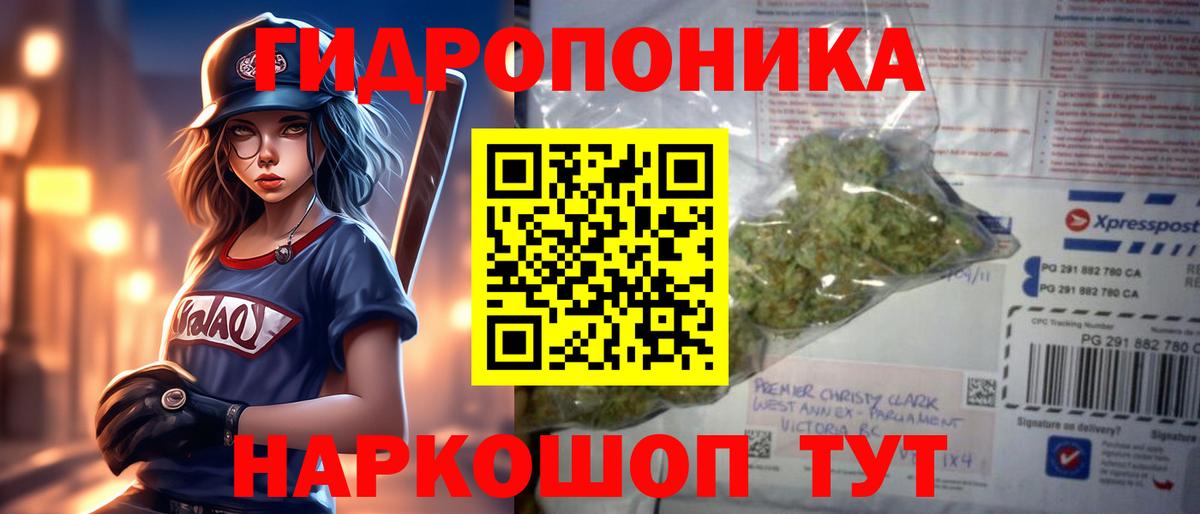 Бошки Шишки MAZAR  Конопля марихуана  Шишки марихуана VHQ  Сыктывкар  Вход с VPN 